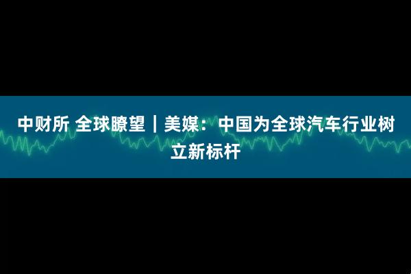 中财所 全球瞭望｜美媒：中国为全球汽车行业树立新标杆