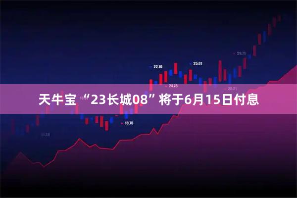 天牛宝 “23长城08”将于6月15日付息