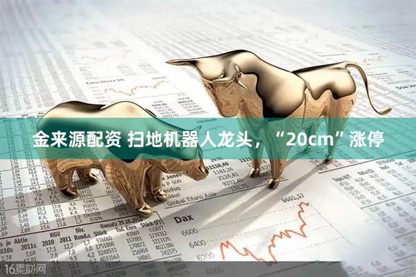 金来源配资 扫地机器人龙头，“20cm”涨停