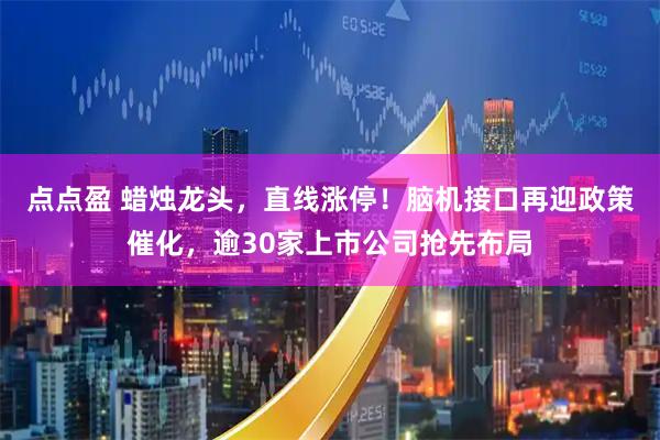 点点盈 蜡烛龙头，直线涨停！脑机接口再迎政策催化，逾30家上市公司抢先布局
